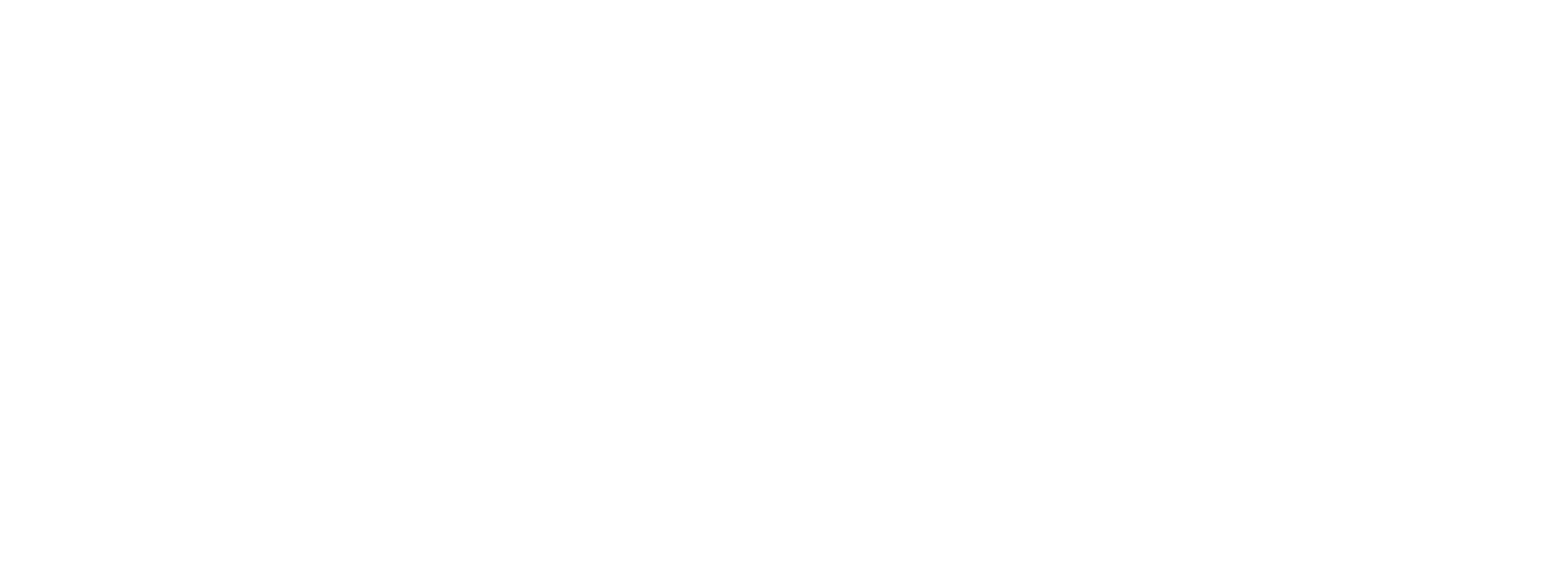 Houston Arts and Alliance
